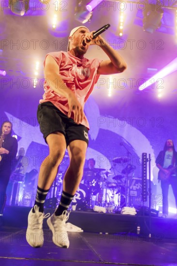 Mal Élevé (Pablo Charlemoine), singer of Irie Révoltés live on Irieunion - Le Re-Tour pour une