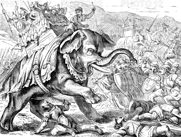 Eleazar, called Avaran, heroic death, first book of the Maccabees, chapter 6, Judas, damage, castle