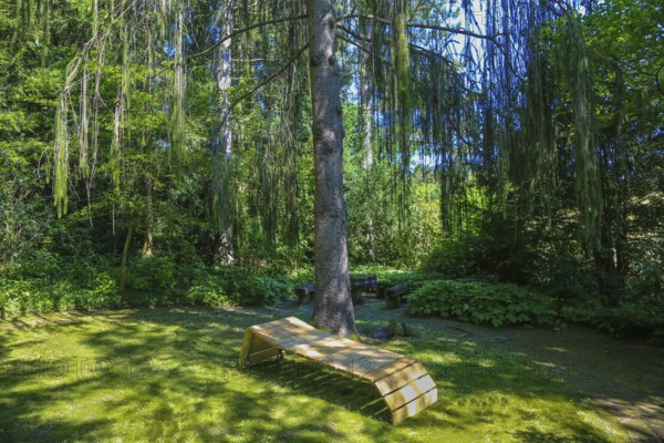 Lounger, idyllic resting place, wooden garden lounger, meadow, trees, green plants, gardens,