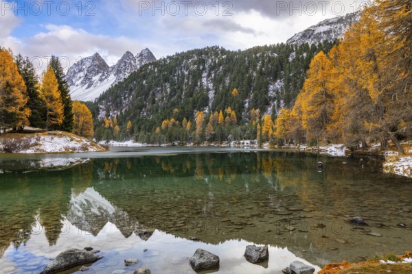 Lake Palpougna, mountain lake, Piz da la Plais, Tschimels, mixed forest with larches (Larix) in