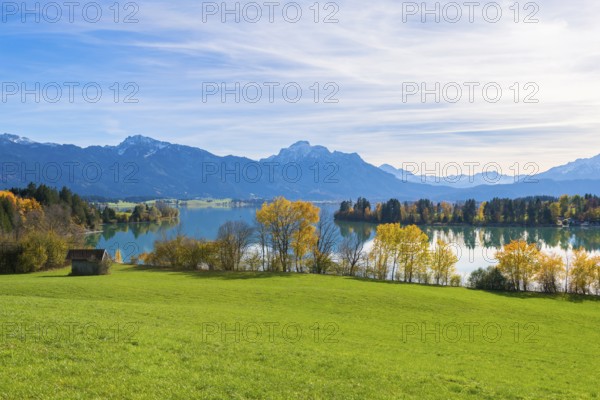 Forggensee and mountains in an autumnal setting, green meadow in the foreground, near Roßhaupten,