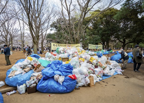 Large piles of trash at a garbage collection point, garbage bags, Yoyogi Park, Hanami Festival,