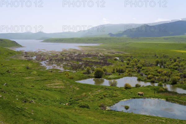 Wide landscape with wetlands and plants, surrounded by green hills and mountains, in the background