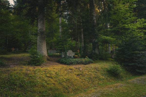 Lonely cemetery in deep forest with a grave surrounded by tall vegetation and trees, Altensteig,