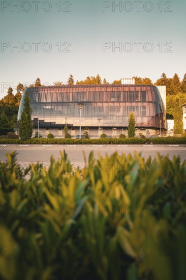 Glass façade of a modern building surrounded by trees in warm sunlight, green leaves foreground,