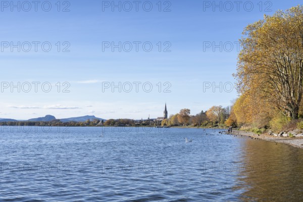 Gravel shore, Lake Constance shore at Mettnaupark near Radolfzell am Lake Constance, surrounded by