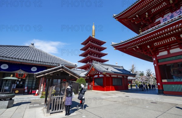 Five-story pagoda, Buddhist temple complex, Asakusa shrine or Senso-ji temple, Asakusa, Tokyo,