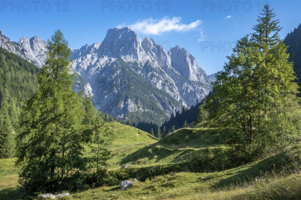 View from Bindalm to the peaks of the Reither Alm with Stadelhorn and Mühlsturzhorn, Berchtesgaden