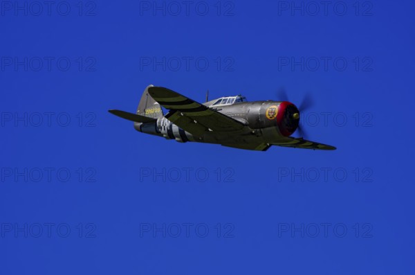 An RC model of a Republic P-47 Thunderbolt during a demonstration as part of an air show at the