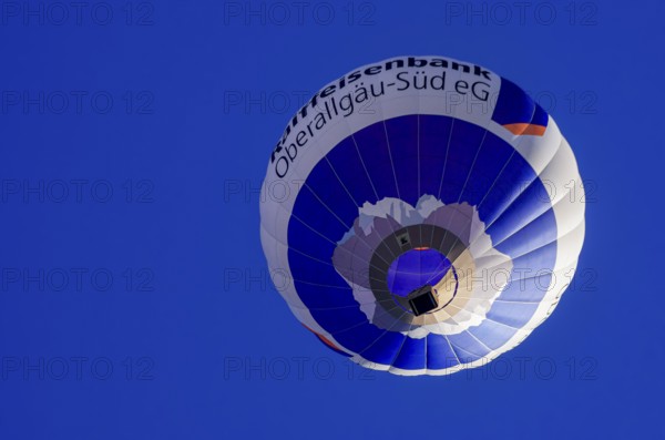 A hot air balloon, registration D-OASF, rises into the air as part of an air show at the