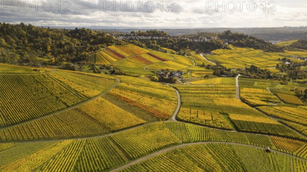 Golden sunset over the glowing autumnal vineyards on the Kappelberg between Fellbach and Stuttgart