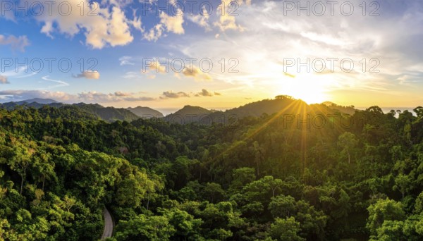 Banner background of tropical forest landscape scene, green wild jungle, cloudy sky at morning,