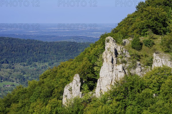 Picturesque scenery on the eaves of the Swabian Jura near Olgafels on Rossfeld in Metzingen-Glems,