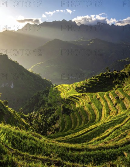 Early morning light bathes Philippines rice terraces cascading down mountain slopes, beautiful