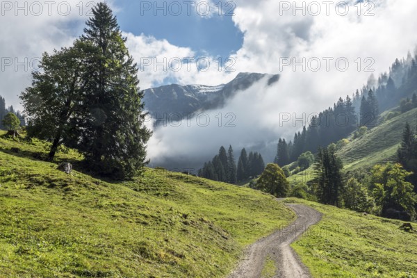 Hiking trail in the Dietersbachtal from Gerstruben to Alpe Dietersbach, Nebelschwanden hang in the