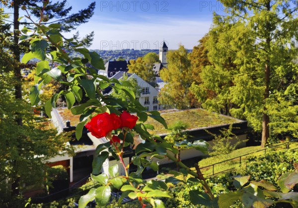 Konrad Adenauer House, view from the garden of St. Mary's Church, Stiftung