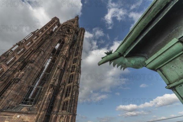 Strasbourg's Gothic cathedral stands majestically under a cloudy sky. In the background is an
