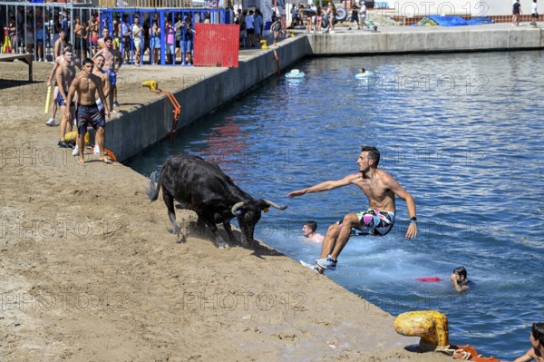 Bous a la Mar Fair, in English Bulls in the Sea, Bullfighting, Javea or Xàbia, Alicante Province,