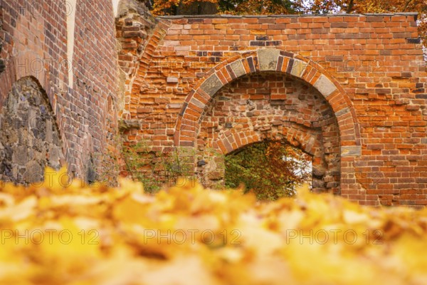 Altzella Abbey is a former Cistercian abbey west of the town of Nossen. In the Middle Ages, it was