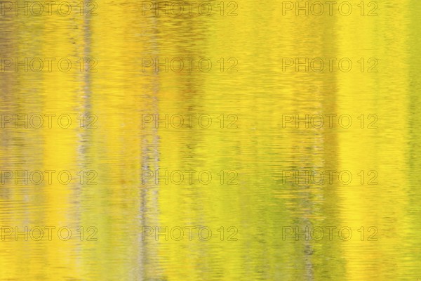 Reflecting autumn colours on the Danube, river, autumn, Danube valley, Upper Danube nature park
