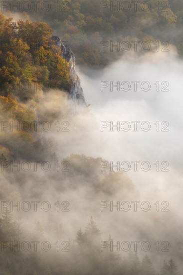 View from the Knopfmacherfelsen into the Danube valley, limestone rock, rock face, mixed forest,