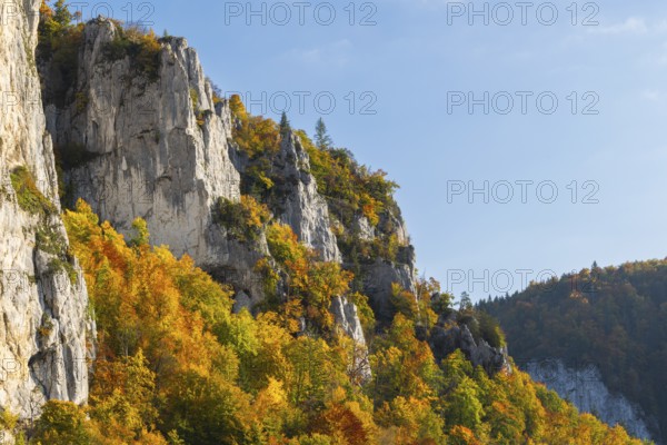 Rock face with mixed forest in autumn colours, limestone rock, autumn, Schaufelsen Donautal,