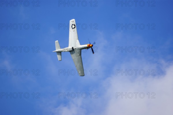 A North American P-51 Mustang of the flying group Flying Bulls, the Nooky Booky IV during an air