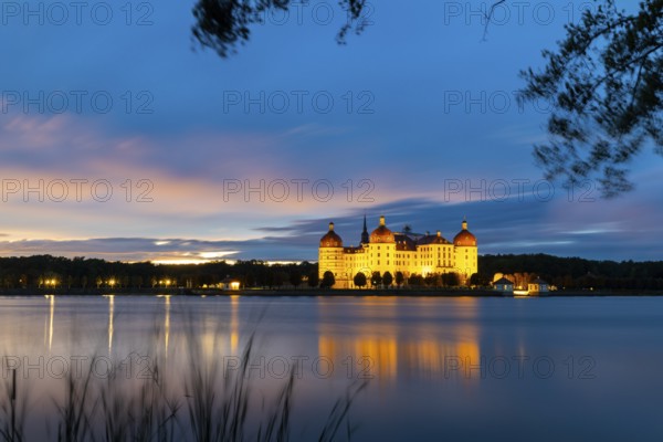 Moritzburg Castle in the blue hour, castle pond, reflection, sunset, common reed (Phragmites