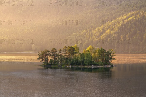 Morning atmosphere at the Eibsee lake, small island in the first light, Grainau near
