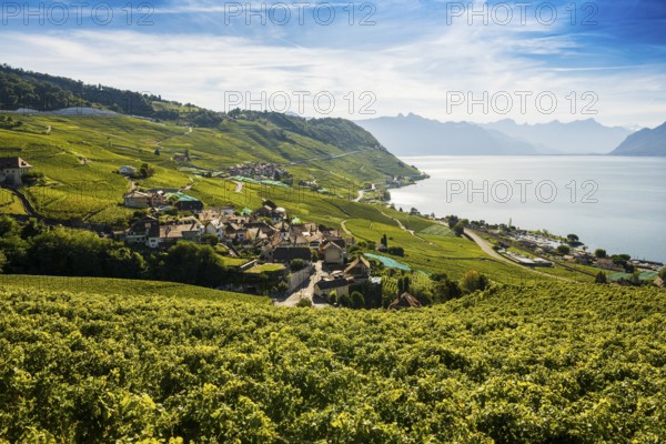 Picturesque village in the vineyards by the lake, Epesses, Lavaux, UNESCO World Heritage Site, Lake