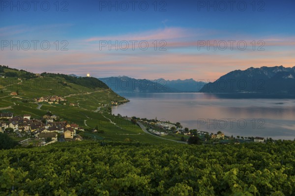 Picturesque village in the vineyards by the lake, Epesses, sunset, full moon, Lavaux, UNESCO World