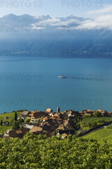 Picturesque village in the vineyards by the lake, Rivaz, Lavaux, UNESCO World Heritage Site, Lake