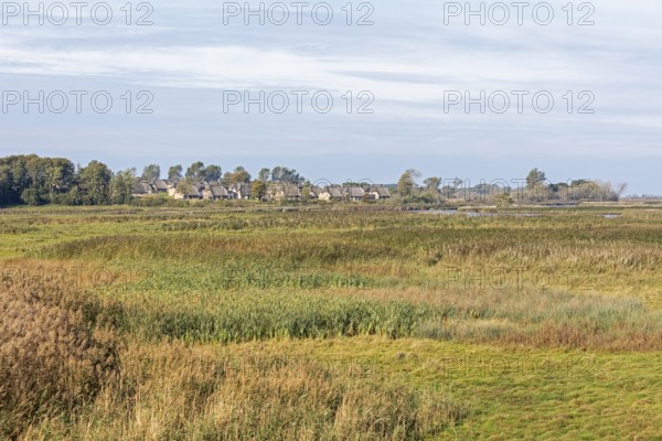 Holiday village Reetdorf Geltinger Birk, Geltinger Birk nature reserve, Geltinger Bucht,
