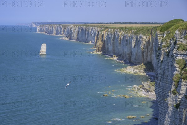 Aiguille de Belval, hike from Etretat to Yport along the chalk cliff coast, Département