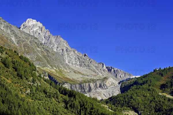 Aiguille du Chardonnet, front foothills of the Argentière glacier, Argentière, Chamonix-Mont-Blanc,