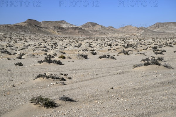 Diamond mining mound in the desert sand at the beginning of the 20th century, Pomona, restricted
