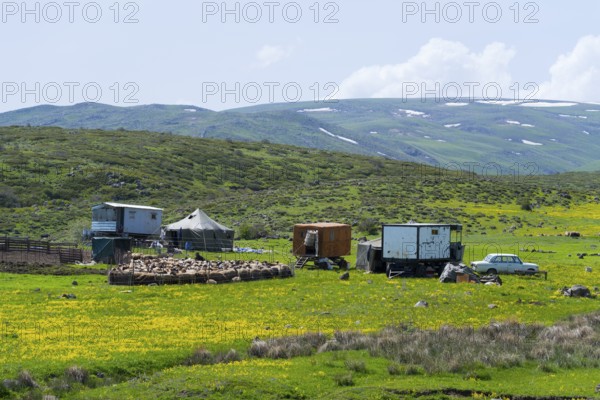 Scene with farm and flock of sheep on green fields surrounded by mountains, nomads, tents and