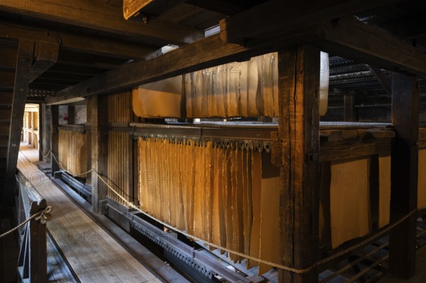Cardboard hung up to dry, drying plant, factory hall, former paper factory and mill for the