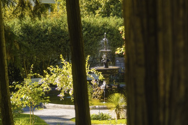 A bubbling fountain in a green garden, surrounded by trees and sunshine, Überlingen, Lake