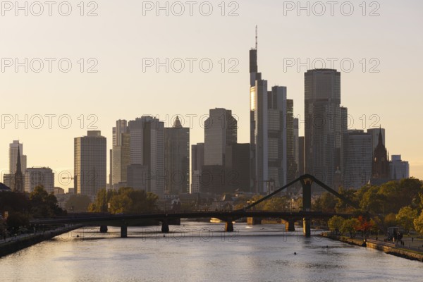 The trees on the banks of the River Main glow with autumnal colour in the light of the evening sun,