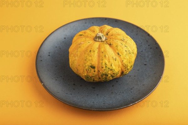 Orange Pumpkin on blue plate on orange pastel paper background. Side view, copy space, healthy