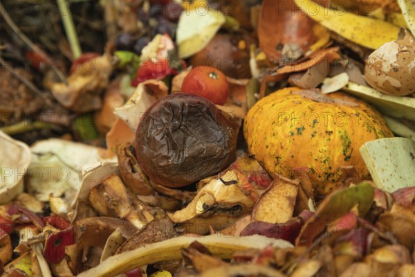 Compost pile made of organic food, leaves, vegetable and fruit Waste mix, Zero waste and Eco