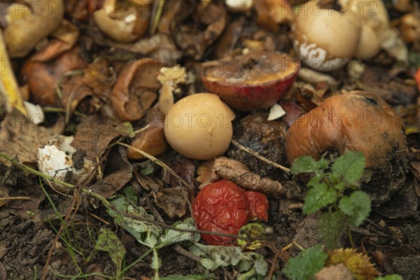 Compost pile made of organic food, leaves, vegetable and fruit Waste mix, Zero waste and Eco