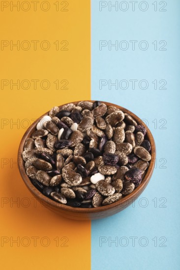 Wooden bowl with Kidney beans on blue and orange pastel paper background, side view, copy space,