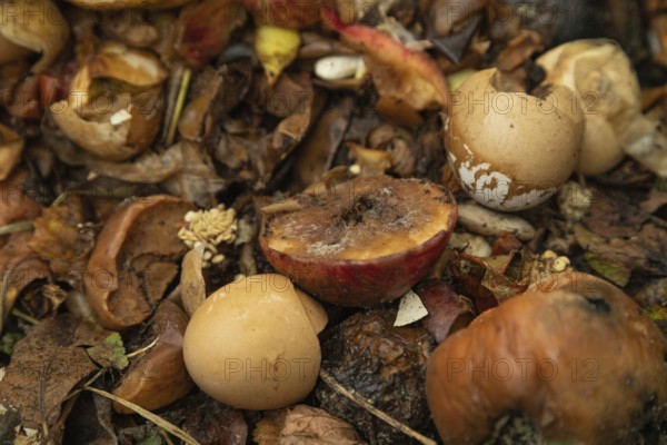 Compost pile made of organic food, leaves, vegetable and fruit Waste mix, Zero waste and Eco