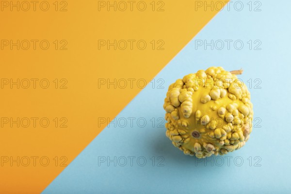 Decorative orange Pumpkin with tumors on blue and orange pastel paper background, side view, copy