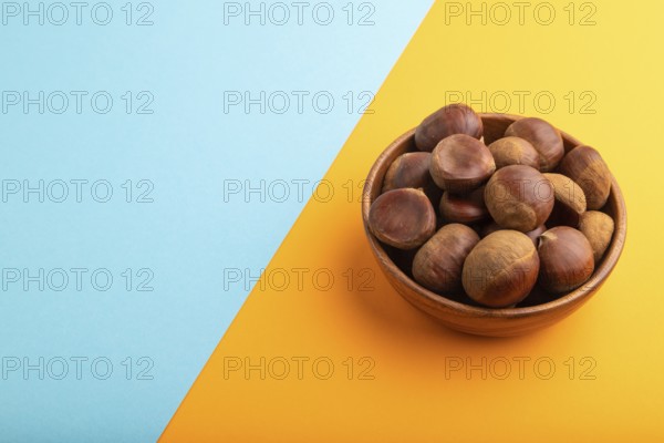 Wooden bowl with raw edible ?hestnuts on blue and orange paper pastel background, side view, copy
