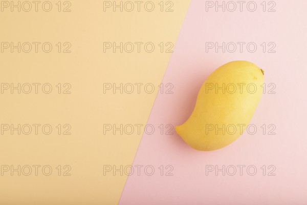 Orange mango on orange and pink paper pastel background. Top view, flat lay, copy space. healthy