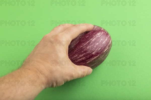 Hand holding Purple eggplant with white stripes on green pastel background. Top view, flat lay,