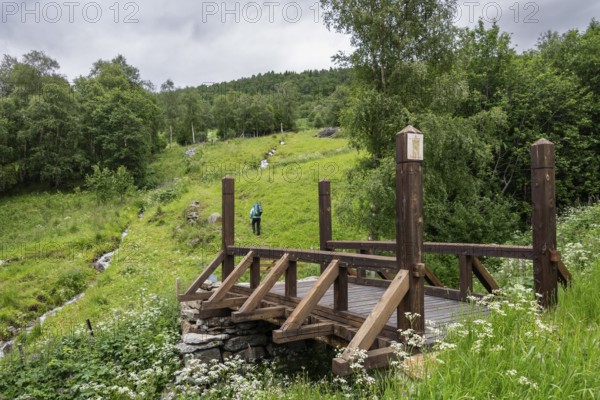 Wooden bridge Leina Bru, Kongevegen or King's Path over Dovrefjell, Hikers in the distance,